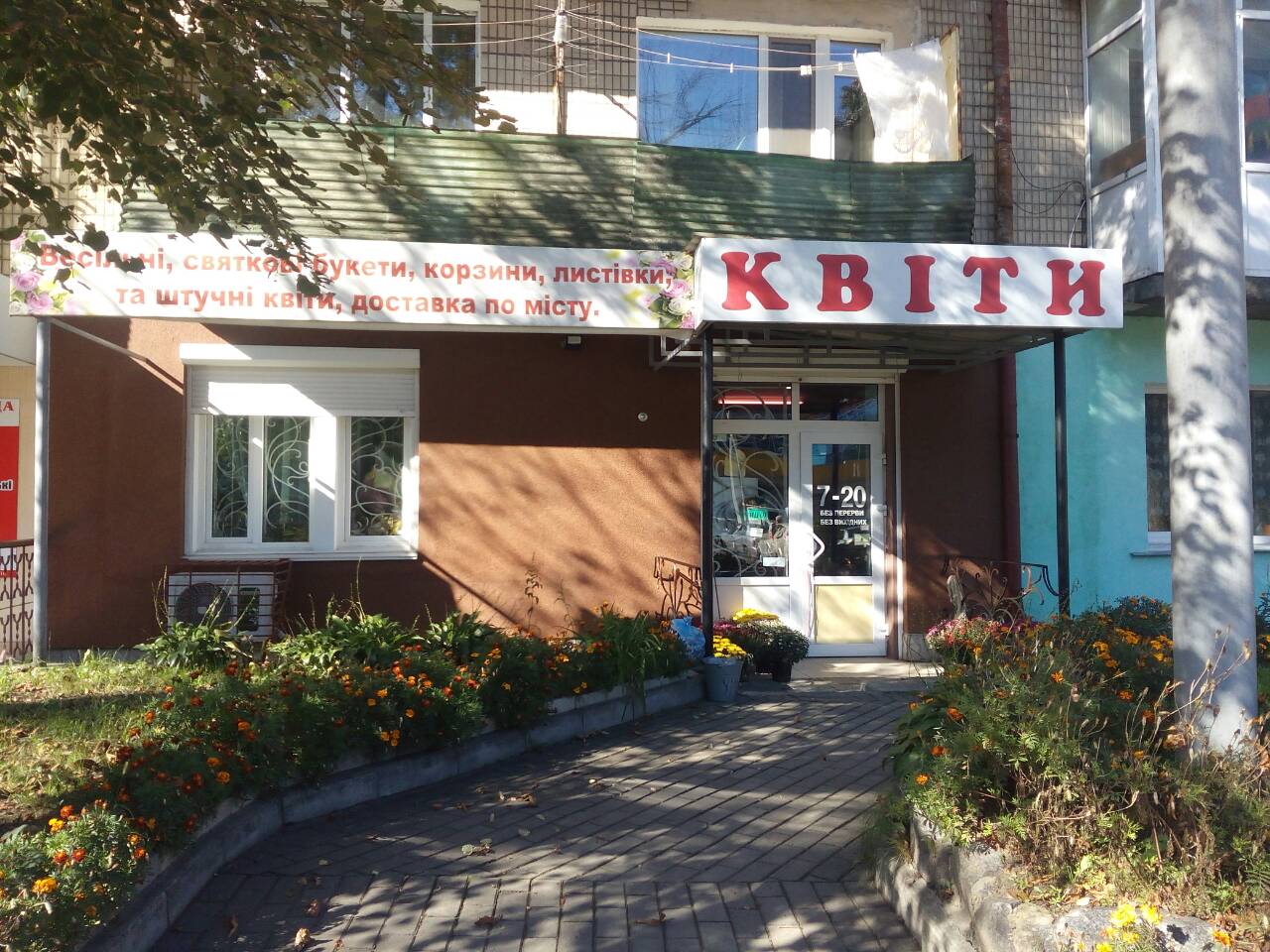 company-foto-Квіти