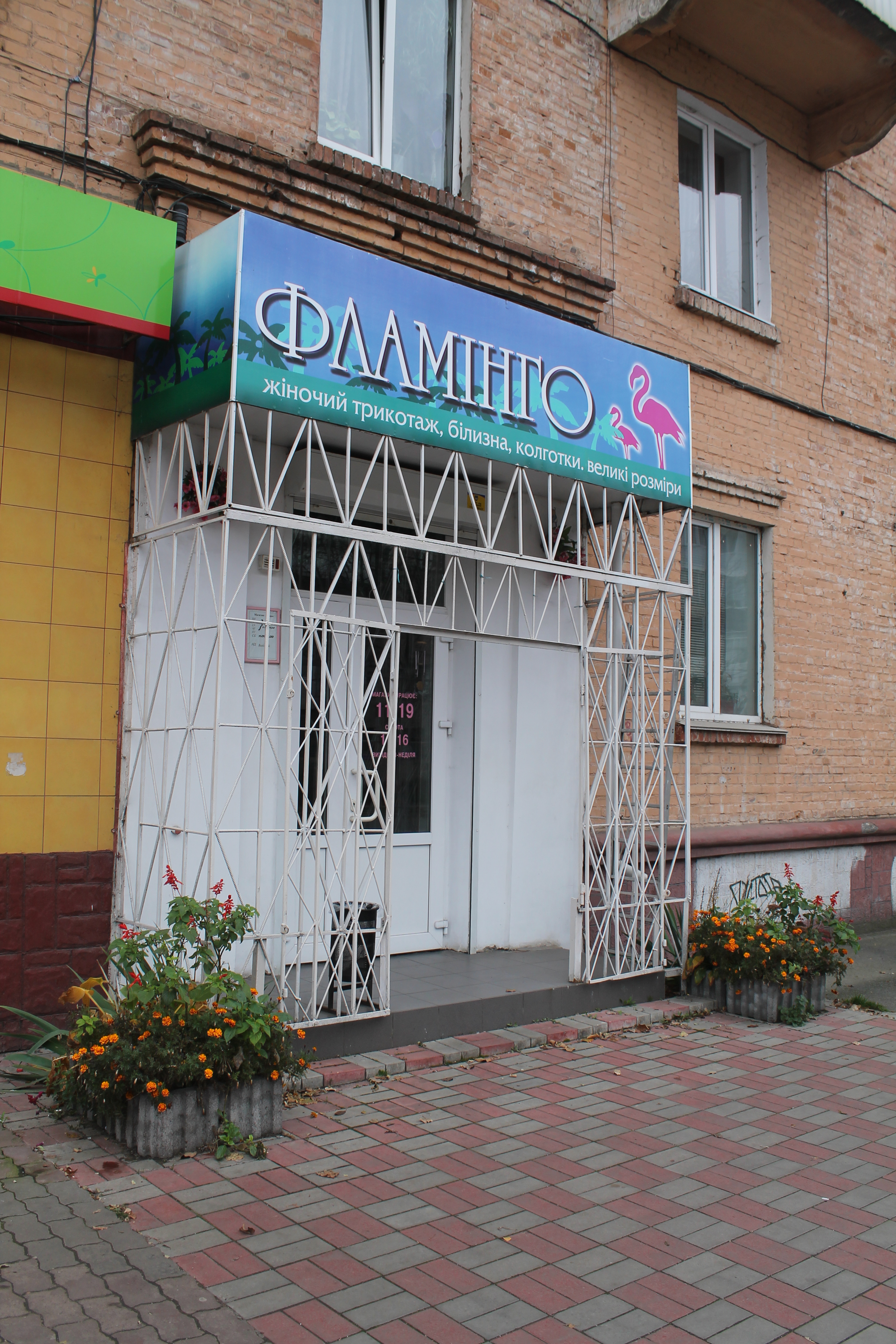 company-foto-Фламінго
