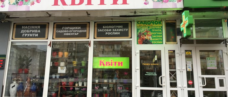 Фасад Квіти / 