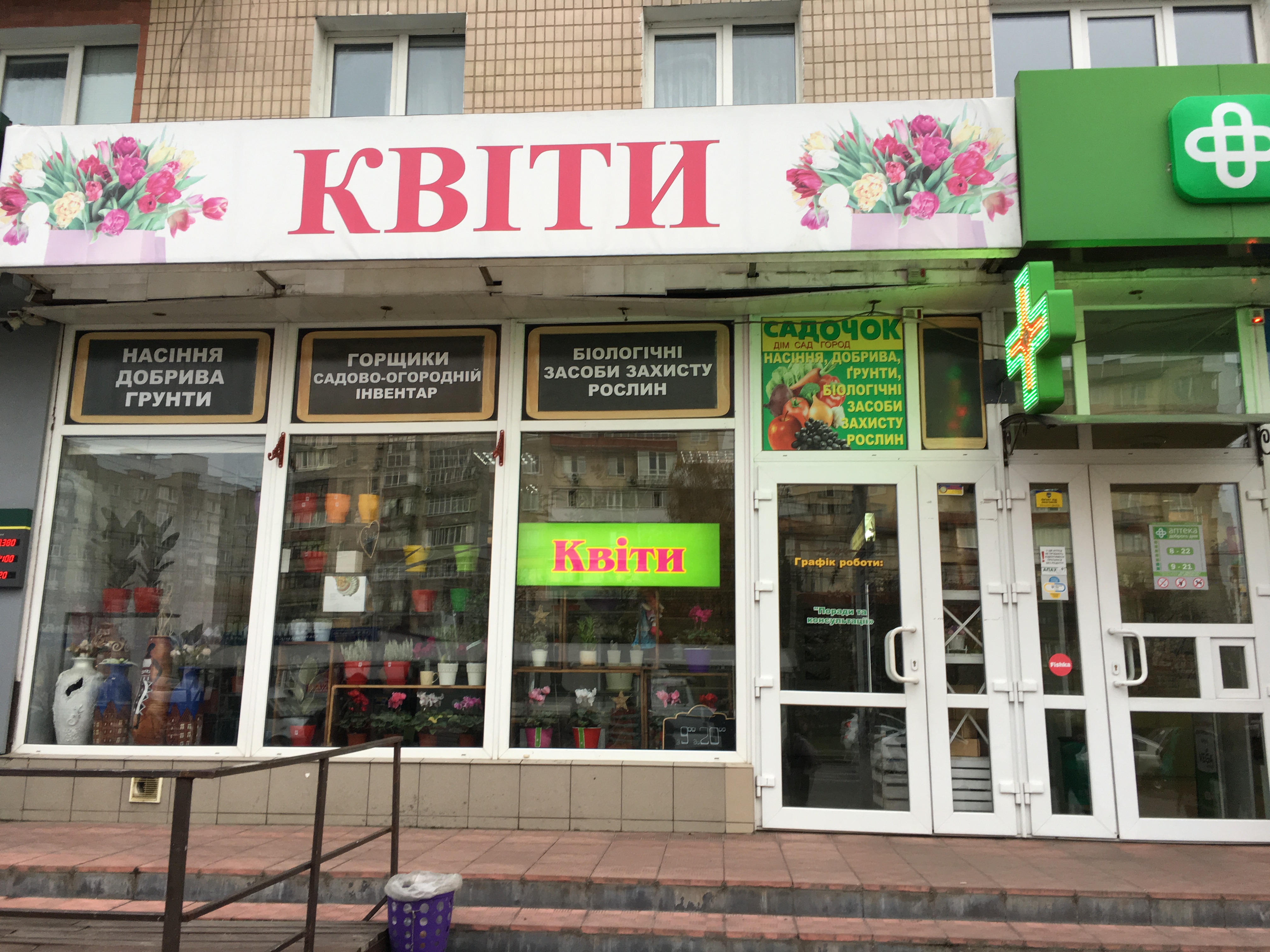 company-foto-Квіти